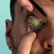 Alex Vargas - What You Wish For