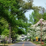 Charleston, Missouri