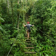 Costa Rica Rainforest