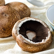 Portobello Mushroom (Agaricus Bisporus)