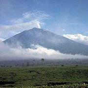 Tropical Rainforest Heritage of Sumatra