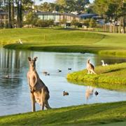 Sanctuary Cove (Pines Course)