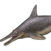 Ichthyosaurus