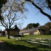 St. James Farm Forest Preserve Warrenville