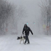 Walk in a Snowstorm