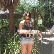 Hold a Crocodile