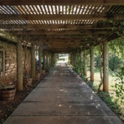 Mission Dolores State Historic Site, Texas