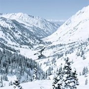Alta, Utah