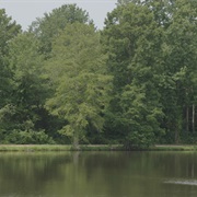 Wall Doxey State Park, Mississippi