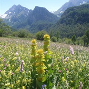 Queyras Regional Park, France
