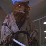 Splinter (TMNT)