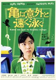 Turtles Swim Faster Than Expected