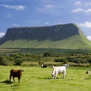 Sligo