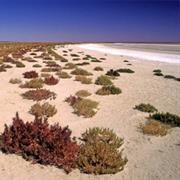 Lake Bindegolly National Park (QLD)