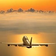 Go Home for Birthday