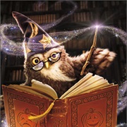 Owl Wizard