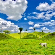Rolling Hills, Puerto Boyaca, Boyaca