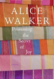 Possessing the Secret of Joy (Alice Walker)