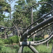 Rugido Del Jaguar (Xejuyup, Guatemala)