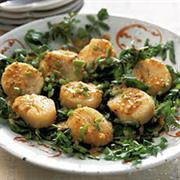 Baked Tanrogans in Cheese Sauce