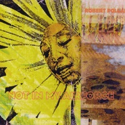 Robert Pollard - Not in My Airforce