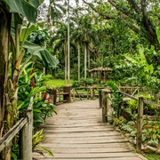 Garden of the Sleeping Giant