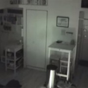 Creeper in My Apartment