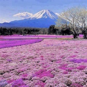 Fuji-Hakone-Izu, Japan