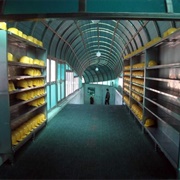 Third Tunnel of Aggression