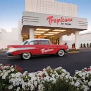 Tropicana