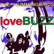 The Hummingbirds - Lovebuzz