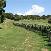 Waitomokia / Mt Gabriel