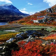 Tierra Del Fuego National Park, Argentina