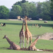 CERZA, Hermival-Les-Vaux, France