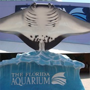 The Florida Aquarium