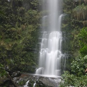 Kumbatine National Park (NSW)