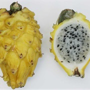 Yellow Pitahaya (Hylocereus Megalanthus)