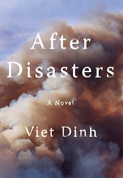 After Disasters (Viet Dinh)