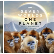 Seven Worlds, One Planet