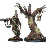 Cassius the Oathkeeper