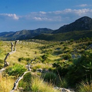 Parc Natural De La Península De Llevant, Mallorca