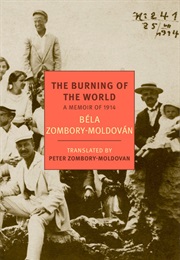 The Burning of the World (Béla Zombory-Moldován and Peter Zombory-Moldován)