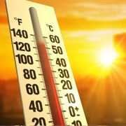Summer Heat