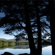 Loch Garten, Abernethy