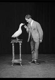 Theodore Case Sound Test: Gus Visser and His Singing Duck