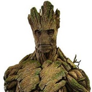 Groot