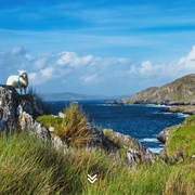 Driving the Coast in Northern Ireland