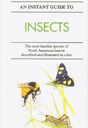 Instant Guide to Insects (Pamela Forey)