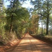 Dirt Roads