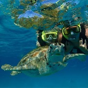 Snorkeling With Turtles